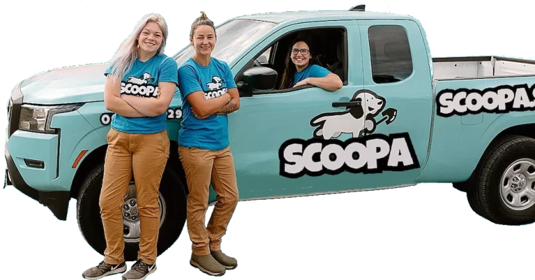 Lortskopningstjänst för privatpersoner och företag.